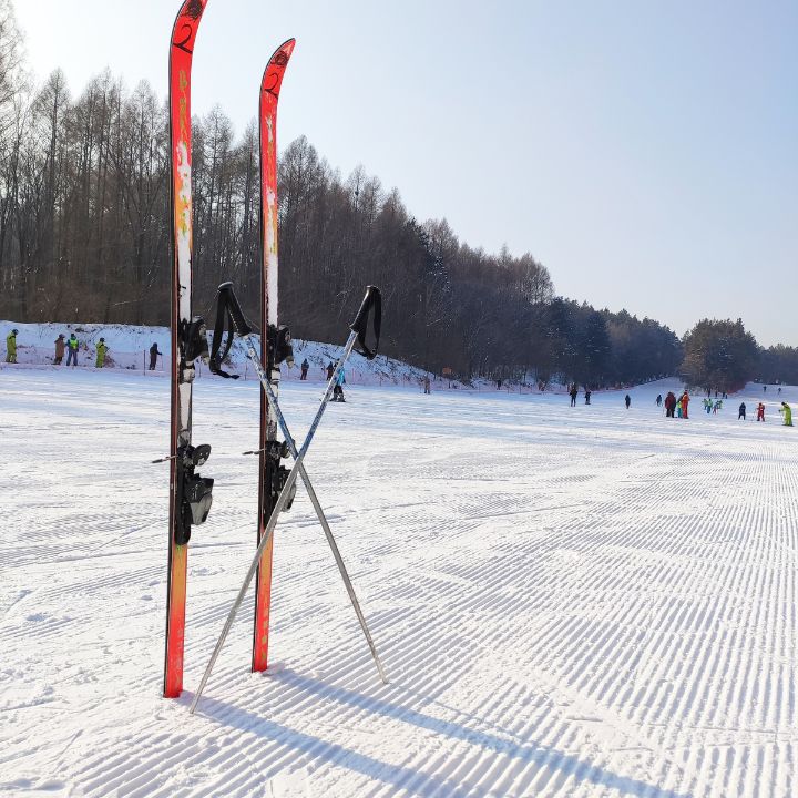 Material imprescindible para esquiar