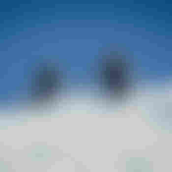 Clases particulares esquí 2 horas Premium Olmedo